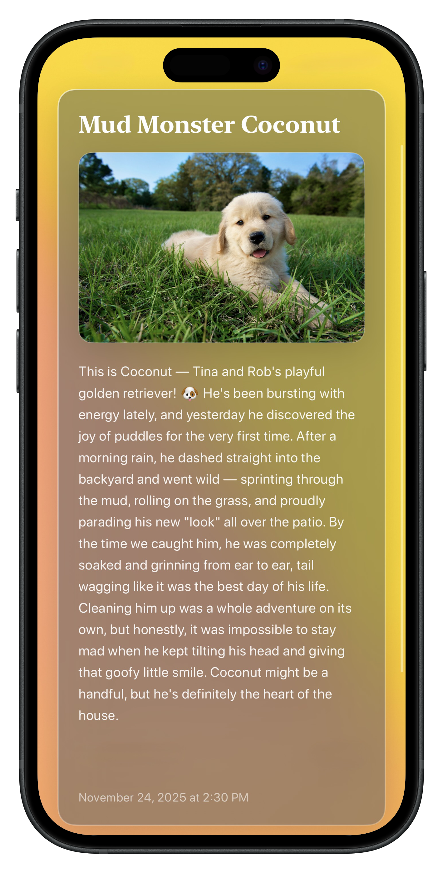 Expressive App Screenshot