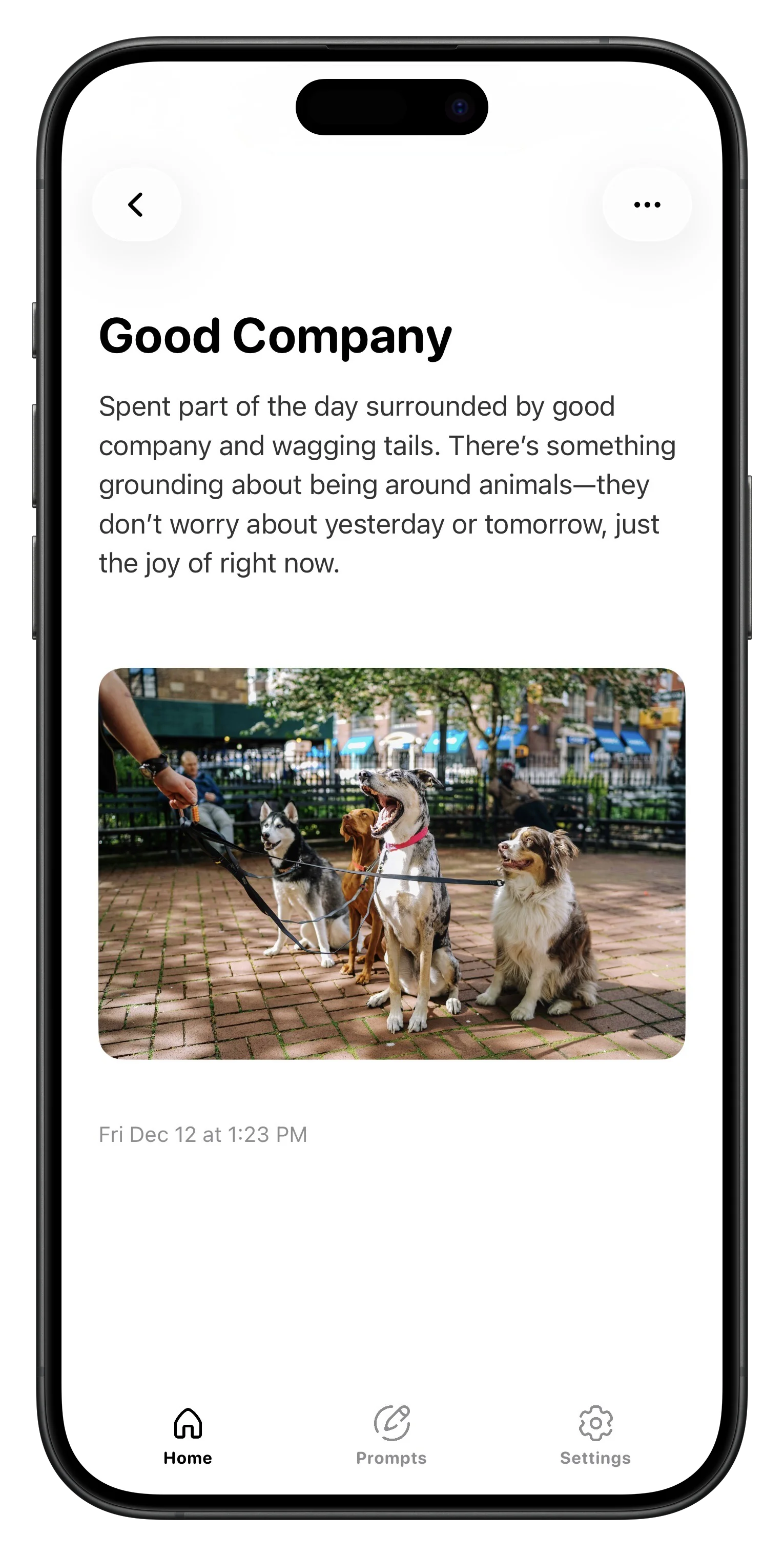 Expressive App Screenshot