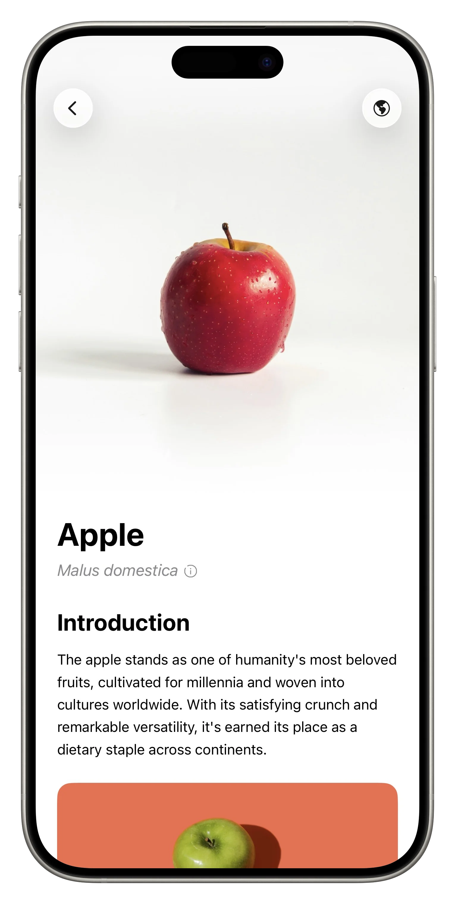 Fresh App Screenshot