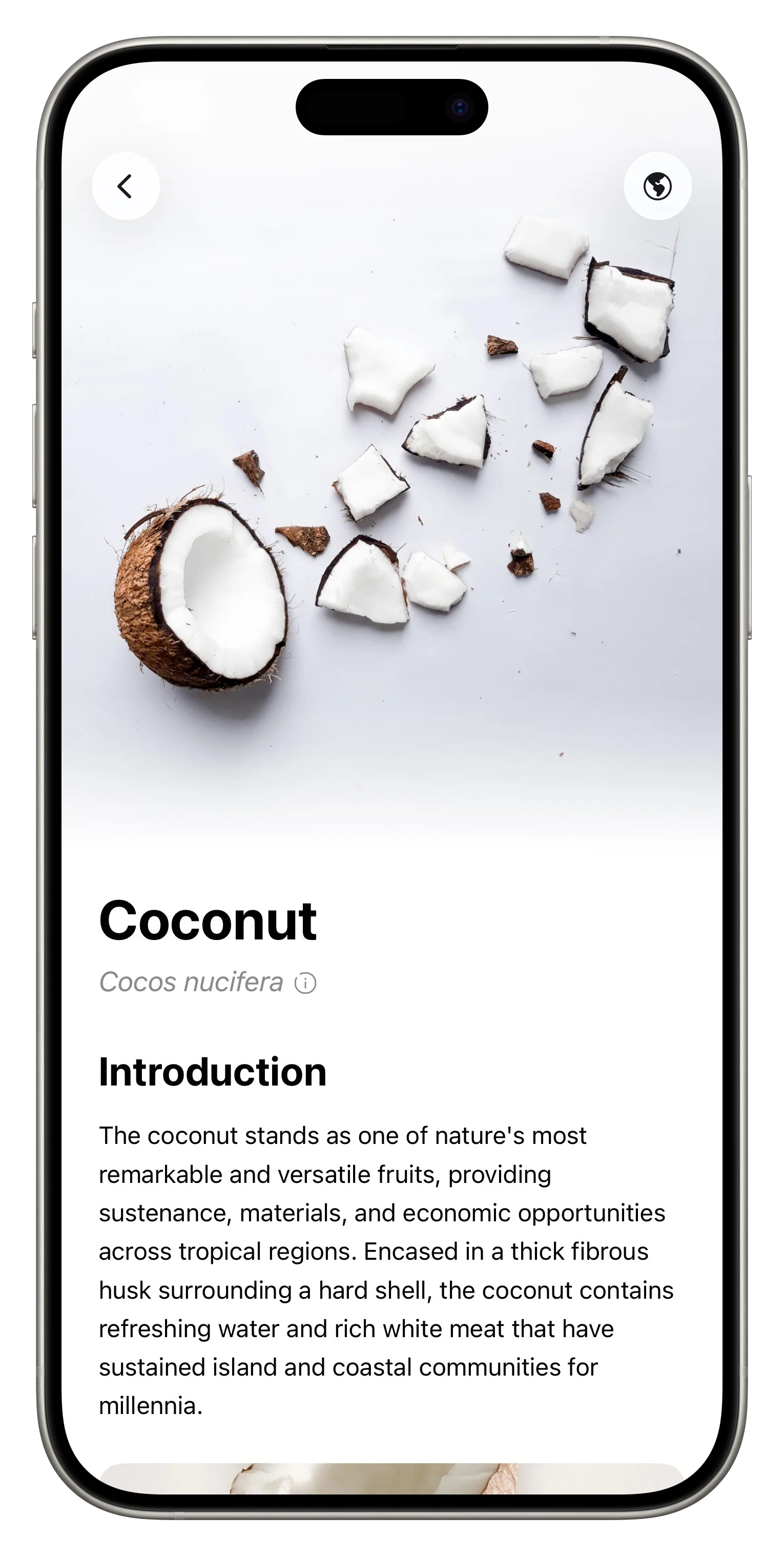 Fresh App Screenshot