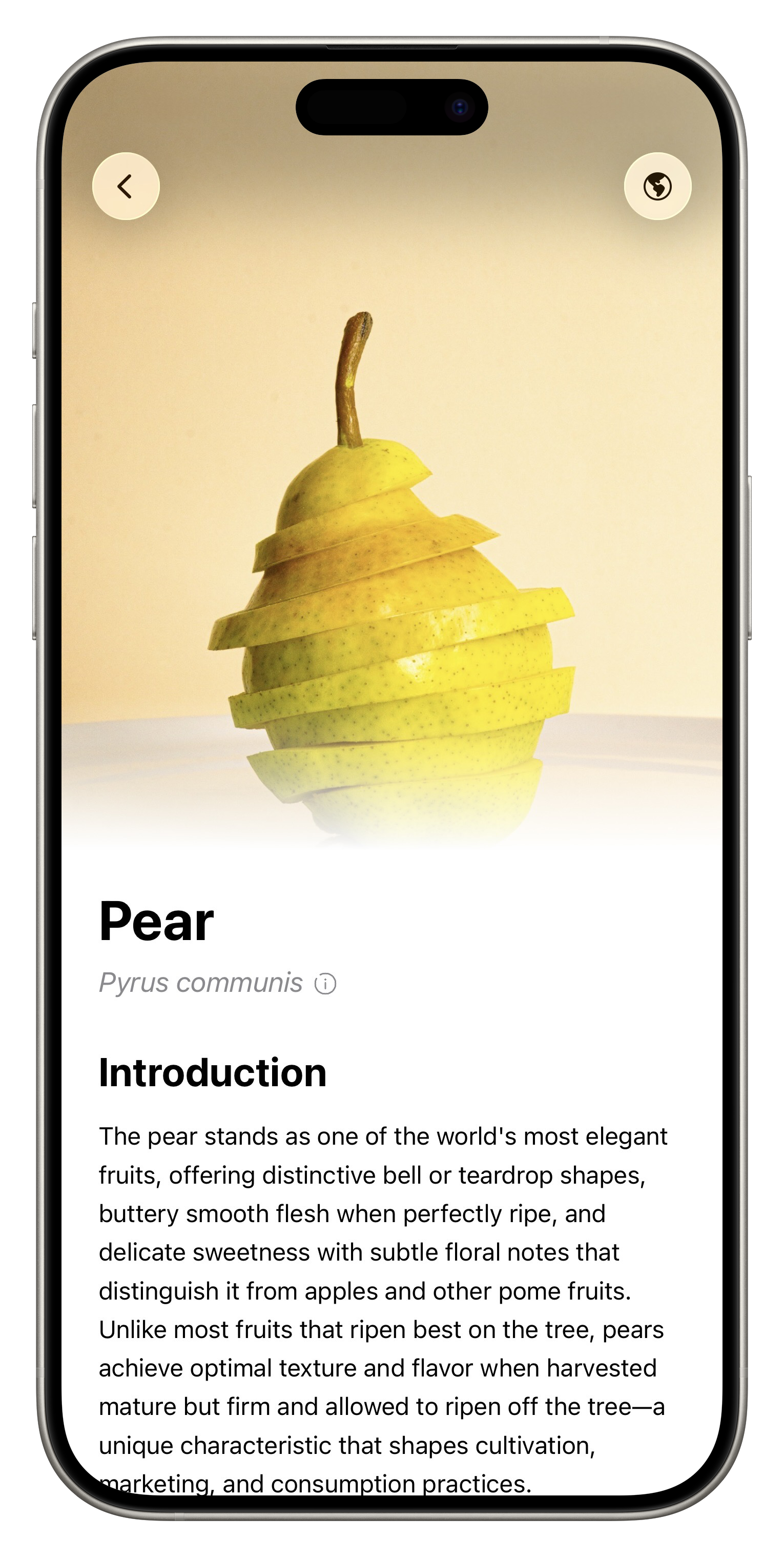 Fresh App Screenshot