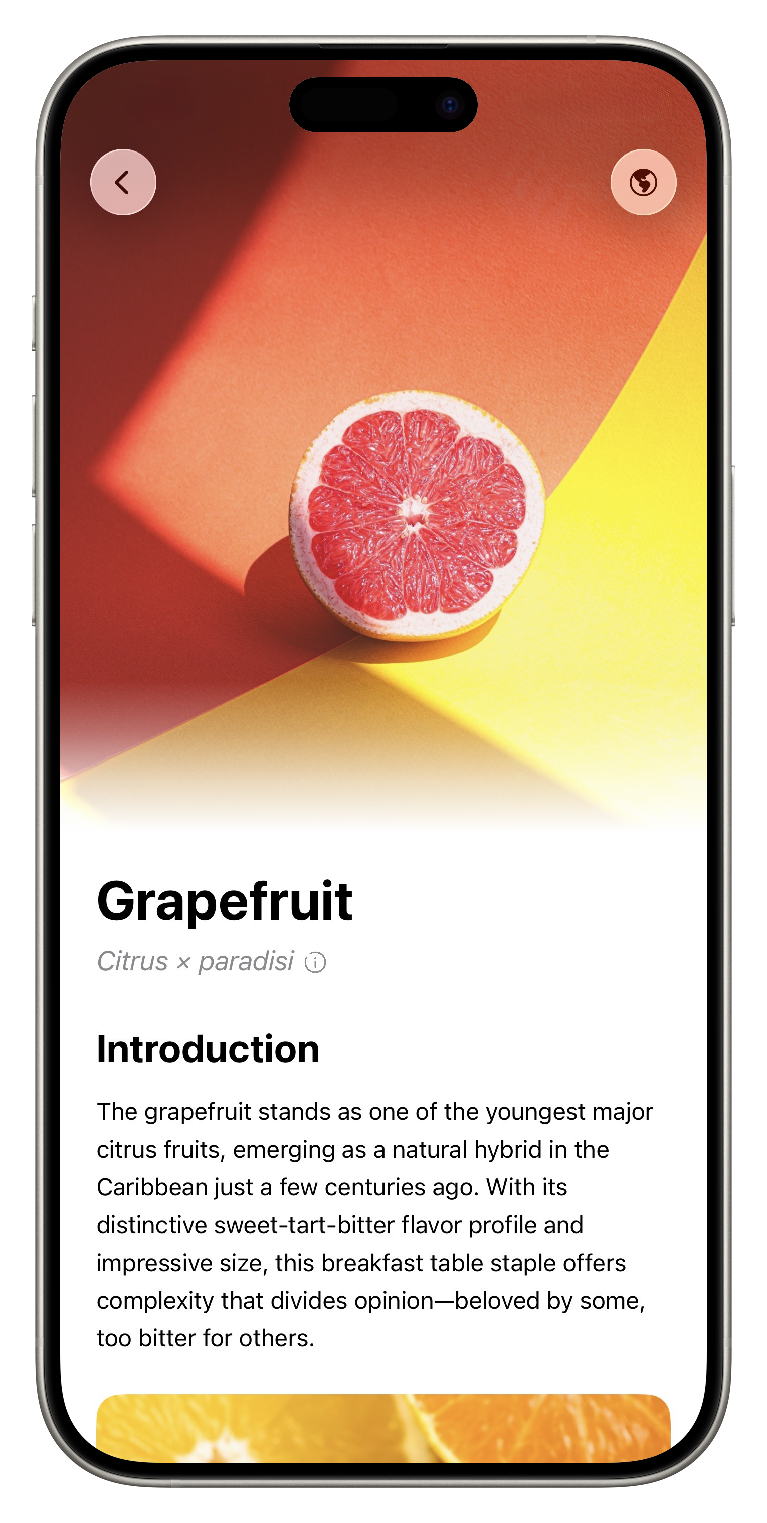 Fresh App Screenshot