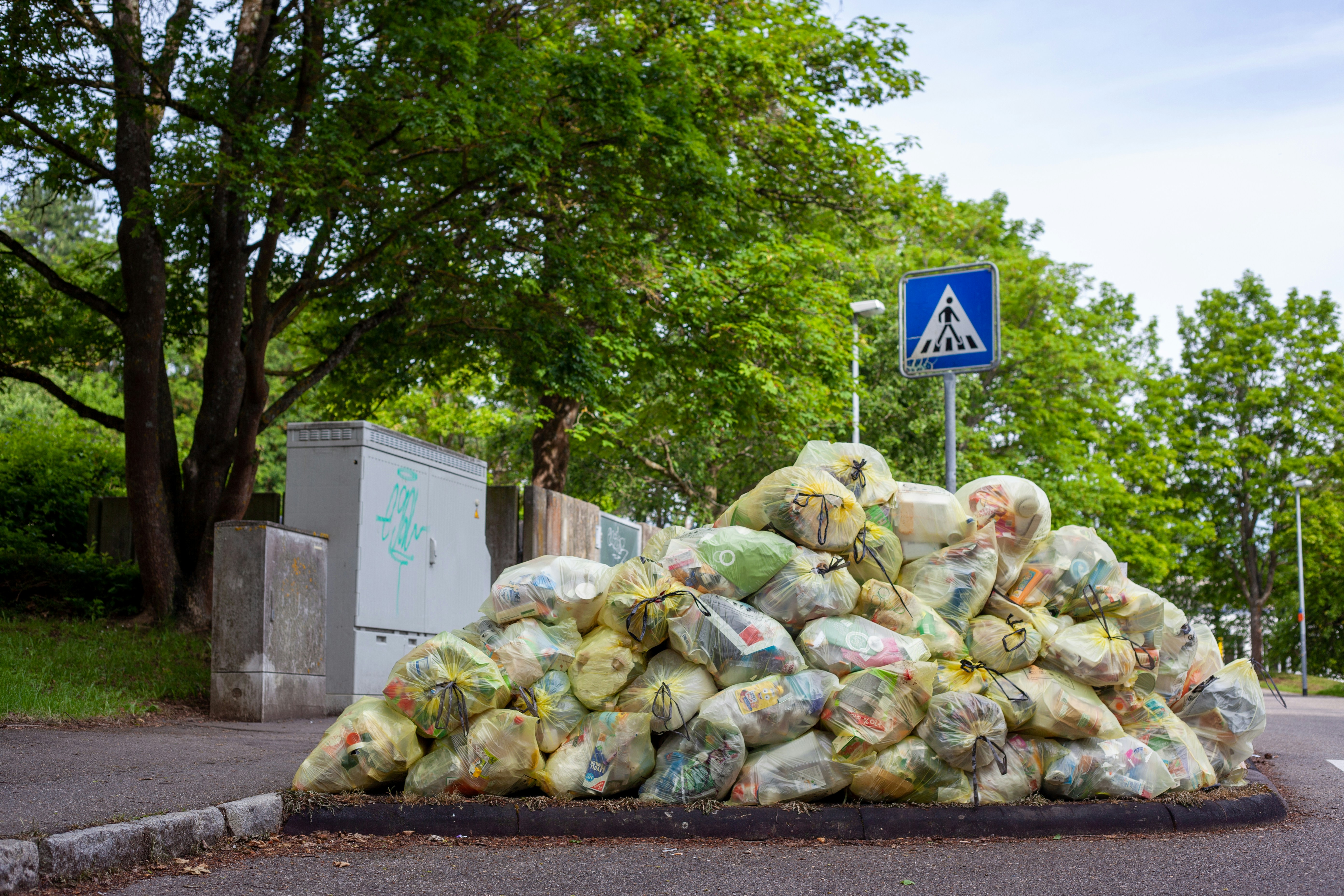 Food Waste Solution